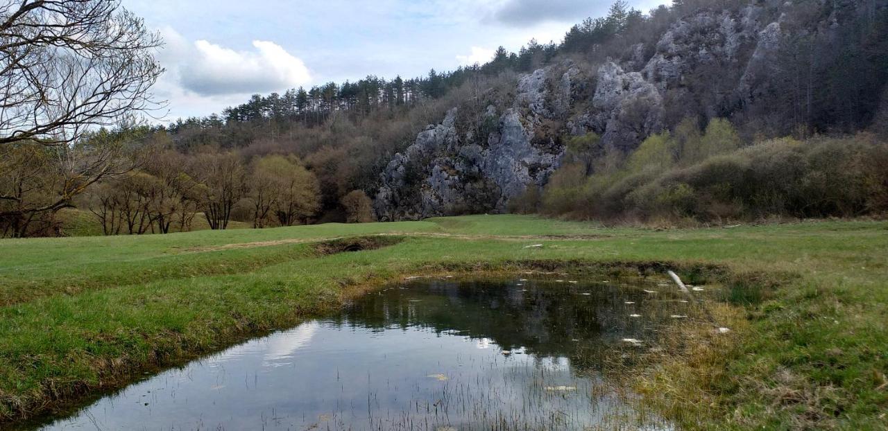 Rural Apartment Carolina Zrenj Eksteriør bilde
