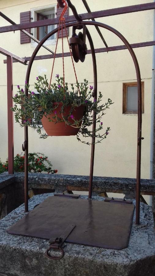 Rural Apartment Carolina Zrenj Eksteriør bilde