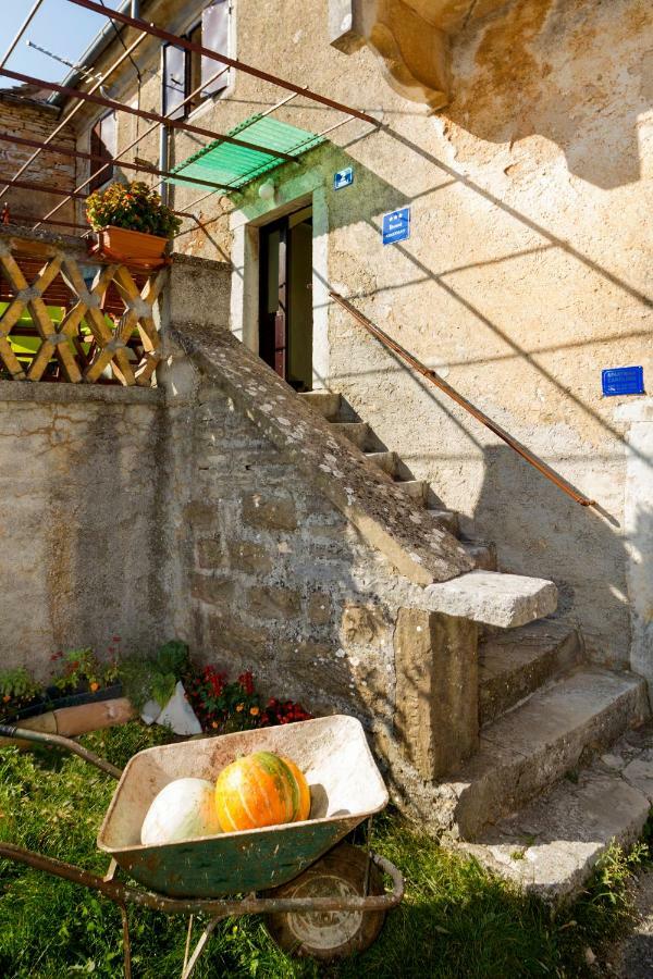 Rural Apartment Carolina Zrenj Eksteriør bilde