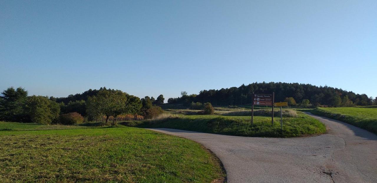 Rural Apartment Carolina Zrenj Eksteriør bilde