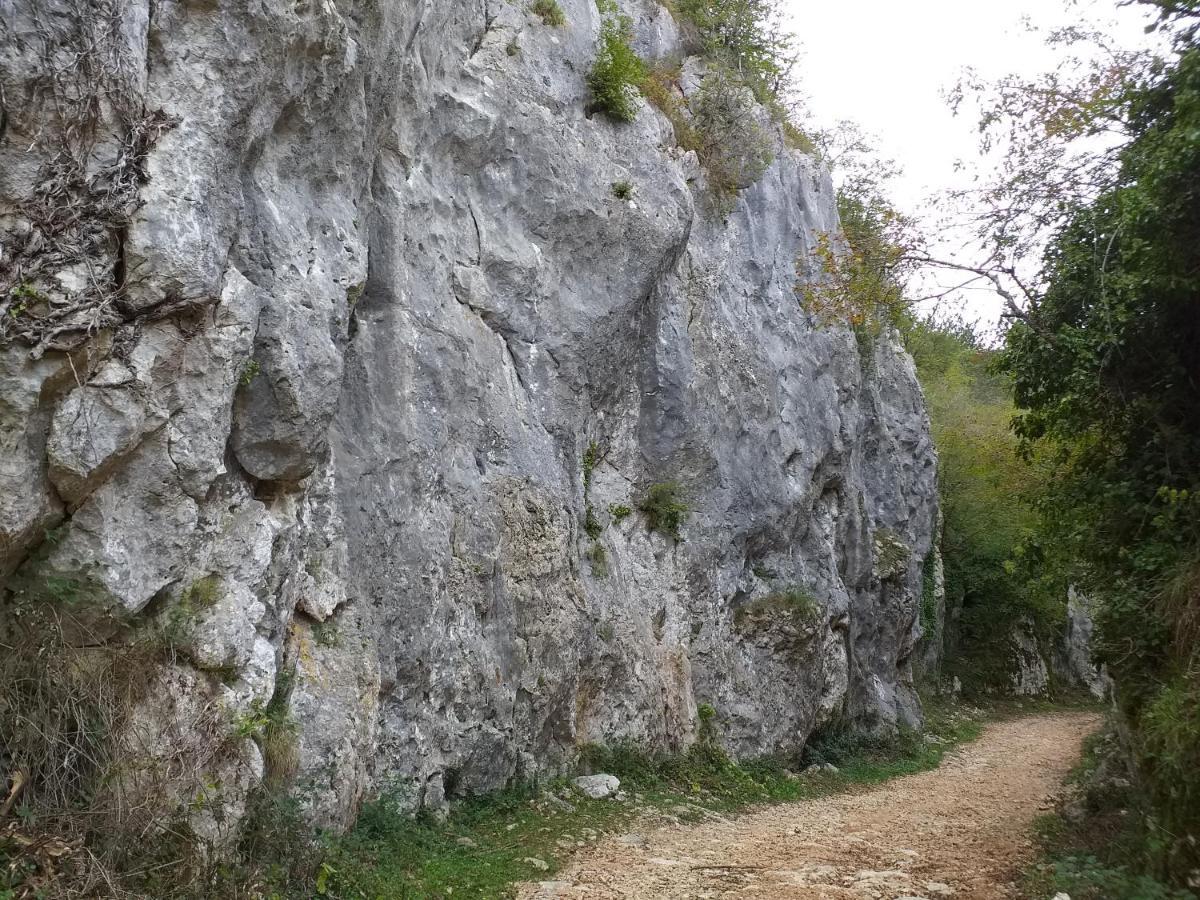 Rural Apartment Carolina Zrenj Eksteriør bilde